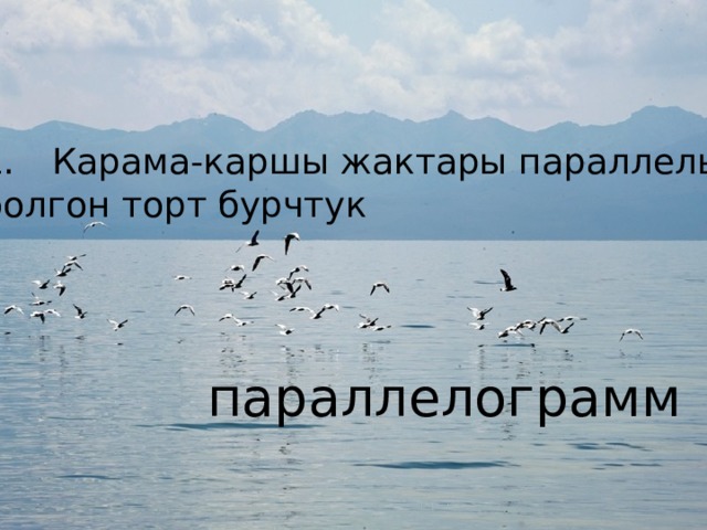 Карама-каршы жактары параллель болгон торт бурчтук параллелограмм 