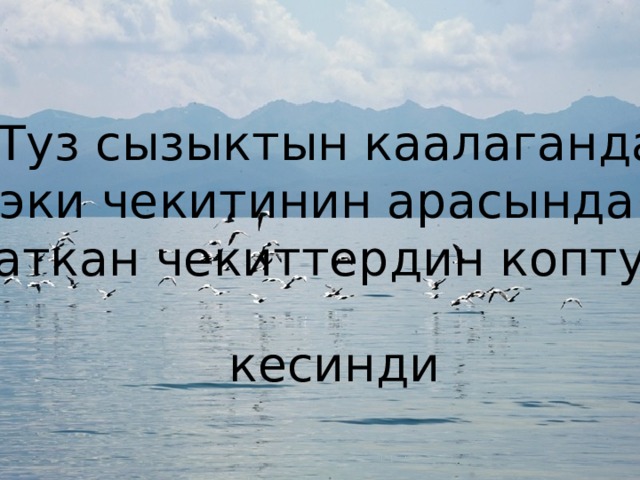9. Туз сызыктын каалагандай эки чекитинин арасында  жаткан чекиттердин коптугу кесинди 