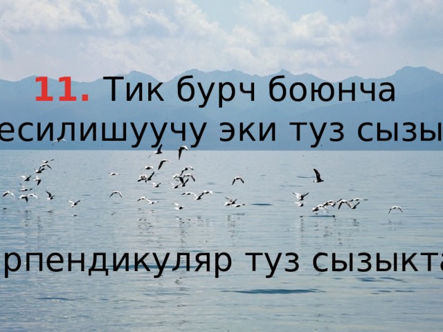 11. Тик бурч боюнча кесилишуучу эки туз сызык  перпендикуляр туз сызыктар 