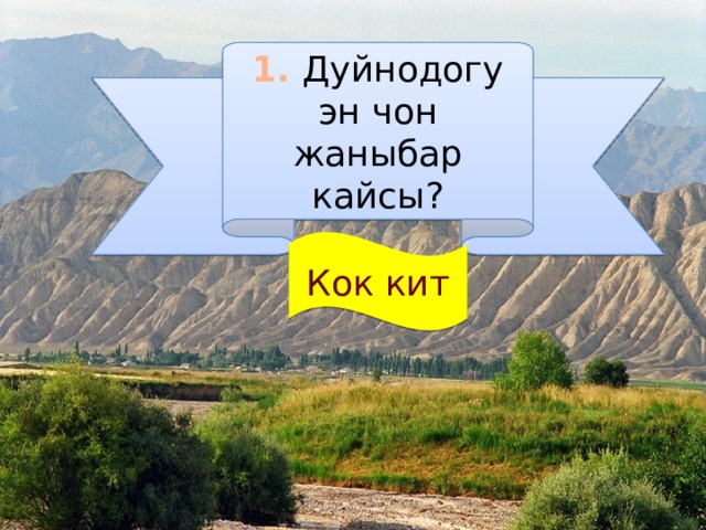 1. Дуйнодогу эн чон жаныбар кайсы? Кок кит 