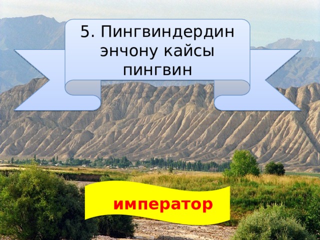 5. Пингвиндердин энчону кайсы пингвин  император 
