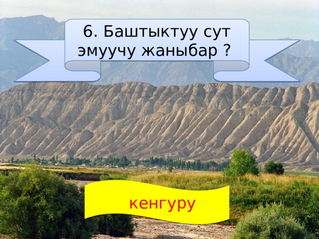 6. Баштыктуу сут эмуучу жаныбар ?  кенгуру 