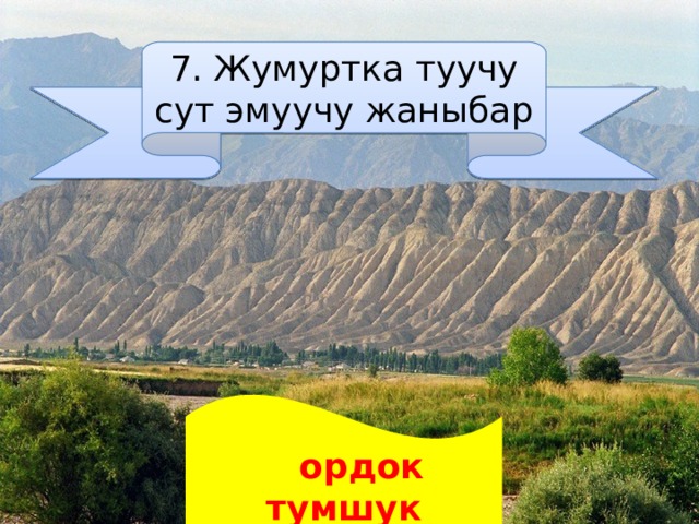 7. Жумуртка туучу сут эмуучу жаныбар   ордок тумшук 