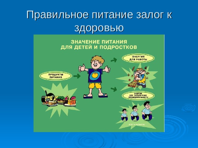 Правильное питание залог к здоровью 