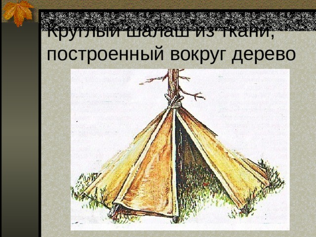 Круглый шалаш из ткани, построенный вокруг дерево 