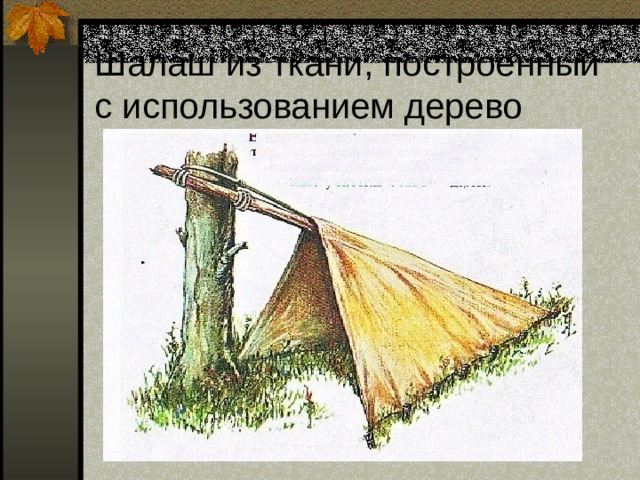 Шалаш из ткани, построенный с использованием дерево 