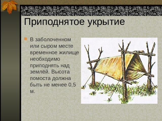 Приподнятое укрытие В заболоченном или сыром месте временное жилище необходимо приподнять над землёй. Высота помоста должна быть не менее 0,5 м. 