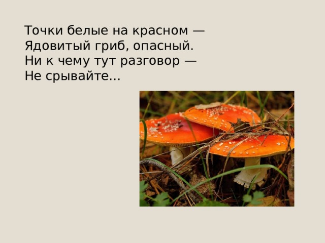 Загадки 