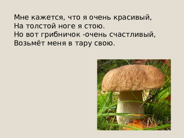 Точки белые на красном — Ядовитый гриб, опасный. Ни к чему тут разговор — Не срывайте... 