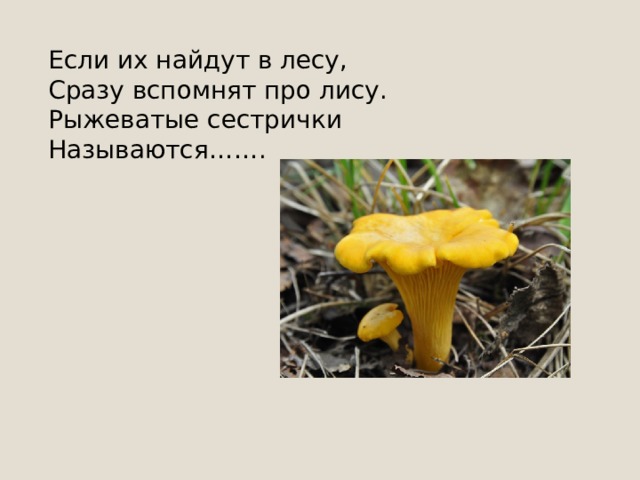 На грибы она сердита И от злости ядовита. Вот лесная хулиганка! Это -... 