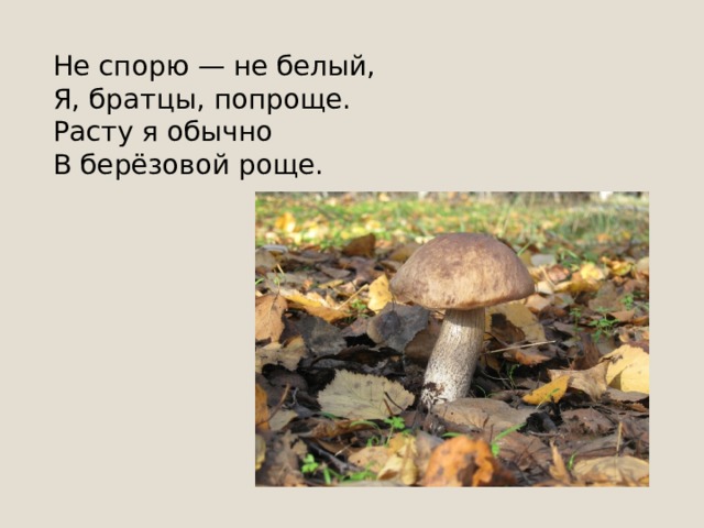 Если их найдут в лесу, Сразу вспомнят про лису. Рыжеватые сестрички Называются……. 