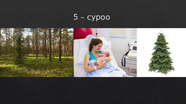 5 – суроо 