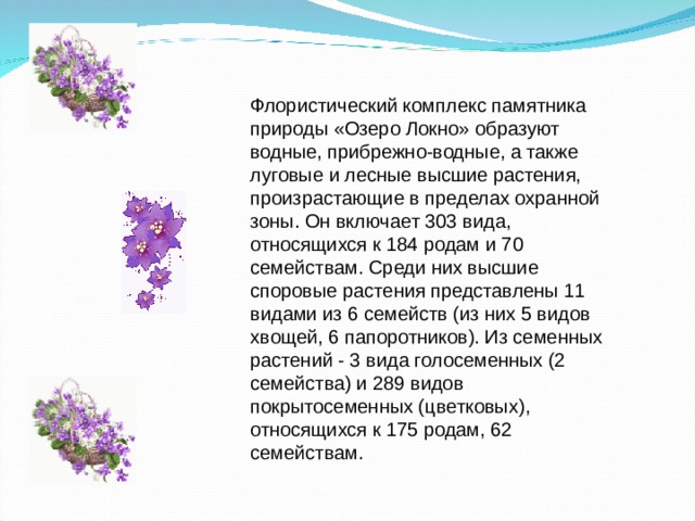 Флористический комплекс памятника природы «Озеро Локно» образуют водные, прибрежно-водные, а также луговые и лесные высшие растения, произрастающие в пределах охранной зоны. Он включает 303 вида, относящихся к 184 родам и 70 семействам. Среди них высшие споровые растения представлены 11 видами из 6 семейств (из них 5 видов хвощей, 6 папоротников). Из семенных растений - 3 вида голосеменных (2 семейства) и 289 видов покрытосеменных (цветковых), относящихся к 175 родам, 62 семействам. 