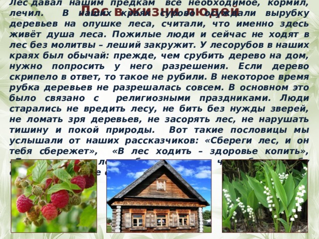 Лес давал нашим предкам  все необходимое, кормил, лечил. В наших краях сурово осуждали вырубку деревьев на опушке леса, считали, что именно здесь живёт душа леса. Пожилые люди и сейчас не ходят в лес без молитвы – леший закружит. У лесорубов в наших краях был обычай: прежде, чем срубить дерево на дом, нужно попросить у него разрешения. Если дерево скрипело в ответ, то такое не рубили. В некоторое время рубка деревьев не разрешалась совсем. В основном это было связано с религиозными праздниками. Люди старались не вредить лесу, не бить без нужды зверей, не ломать зря деревьев, не засорять лес, не нарушать тишину и покой природы. Вот такие пословицы мы услышали от наших рассказчиков: «Сбереги лес, и он тебя сбережет», «В лес ходить – здоровье копить», «Безо времени лес губить – не из чего будет избу срубить», «Не все стриги, что растет».   Лес в жизни людей 