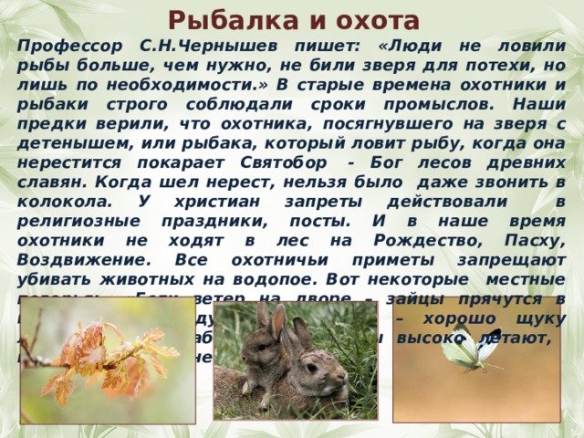 Рыбалка и охота  Профессор С.Н.Чернышев пишет: «Люди не ловили рыбы больше, чем нужно, не били зверя для потехи, но лишь по необходимости.» В старые времена охотники и рыбаки строго соблюдали сроки промыслов. Наши предки верили, что охотника, посягнувшего на зверя с детенышем, или рыбака, который ловит рыбу, когда она нерестится покарает Святобор  - Бог лесов древних славян. Когда шел нерест, нельзя было даже звонить в колокола. У христиан запреты действовали в религиозные праздники, посты. И в наше время охотники не ходят в лес на Рождество, Пасху, Воздвижение. Все охотничьи приметы запрещают убивать животных на водопое. Вот некоторые местные поверья:  «Если ветер на дворе – зайцы прячутся в норе»,«Лист на дубе развивается – хорошо щуку ловить.» «Если бабочки капустницы высоко летают, пришла пора осенней рыбалки.»  