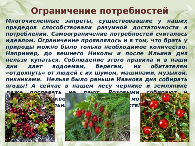 Ограничение потребностей Многочисленные запреты, существовавшие у наших прадедов способствовали разумной достаточности в потреблении. Самоограничение потребностей считалось идеалом. Ограничение проявлялось и в том, что брать у природы можно было только необходимое количество. Например, до вешнего Николы и после Ильина дня нельзя купаться. Соблюдение этого правила и в наши дни дает водоемам, берегам, их обитателям «отдохнуть» от людей с их шумом, машинами, музыкой, пикниками. Нельзя было раньше Иванова дня собирать ягоды! А сейчас в нашем лесу чернике и землянике даже поспевать не дают. Розовыми собирают и бруснику с клюквой. А ведь эти ягоды могли бы столько запасти питательных, лечебных веществ! 