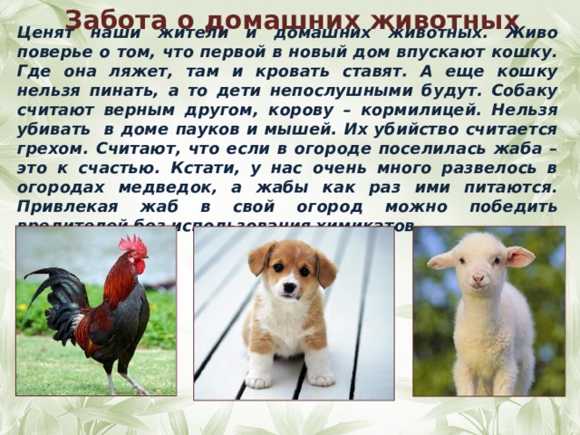 Забота о домашних животных  Ценят наши жители и домашних животных. Живо поверье о том, что первой в новый дом впускают кошку. Где она ляжет, там и кровать ставят. А еще кошку нельзя пинать, а то дети непослушными будут. Собаку считают верным другом, корову – кормилицей. Нельзя убивать в доме пауков и мышей. Их убийство считается грехом. Считают, что если в огороде поселилась жаба – это к счастью. Кстати, у нас очень много развелось в огородах медведок, а жабы как раз ими питаются. Привлекая жаб в свой огород можно победить вредителей без использования химикатов.    