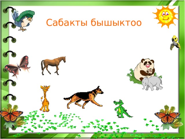   Сабакты бышыктоо 