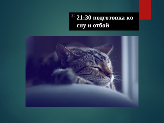 21:30 подготовка ко сну и отбой 