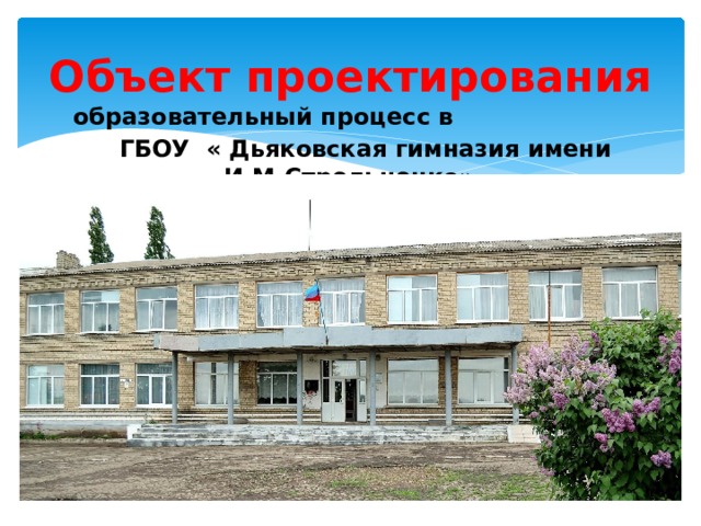 Объект проектирования образовательный процесс в    ГБОУ « Дьяковская гимназия имени И.М.Стрельченко» 