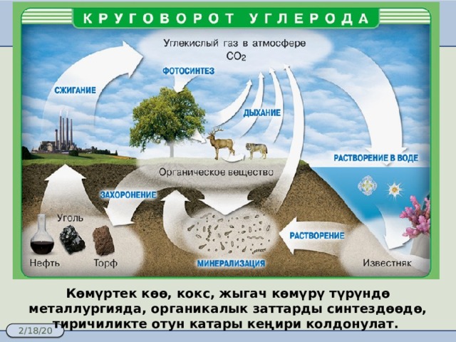 Көмүртек көө, кокс, жыгач көмүрү түрүндө металлургияда, органикалык заттарды синтездөөдө, тиричиликте отун катары кеңири колдонулат. 