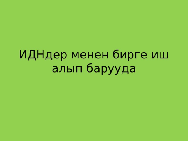 ИДНдер менен бирге иш алып барууда 