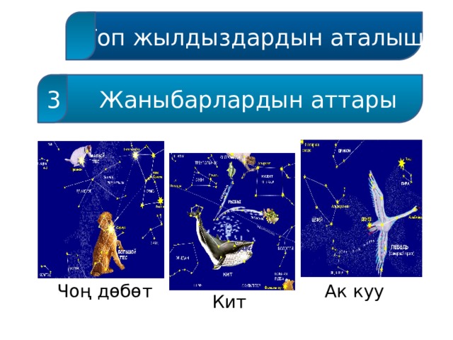  Топ жылдыздардын аталышы  Жаныбарлардын аттары 3 Чоң дөбөт Ак куу Кит 
