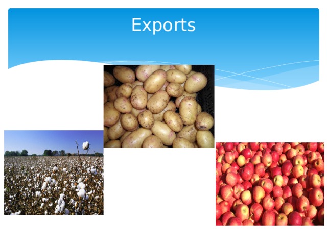 Exports   