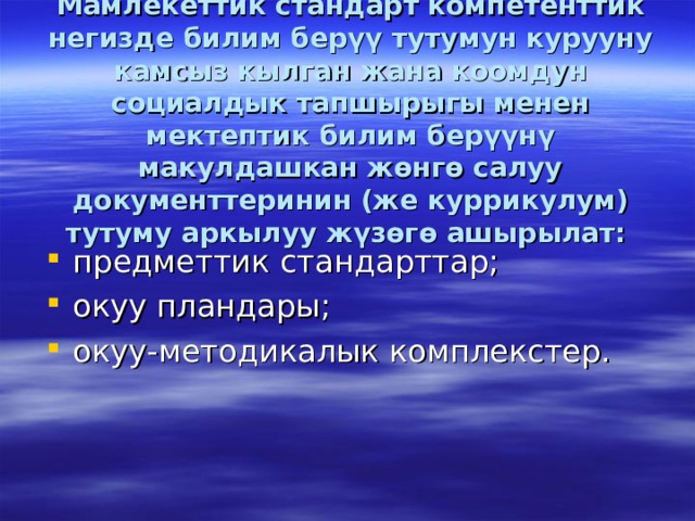 Мамлекеттик стандарт компетенттик негизде билим берүү тутумун курууну камсыз кылган жана коомдун социалдык тапшырыгы менен мектептик билим берүүнү макулдашкан жөнгө салуу документтеринин (же куррикулум) тутуму аркылуу жүзөгө ашырылат:  предметтик стандарттар; окуу пландары; окуу-методикалык комплекстер. 