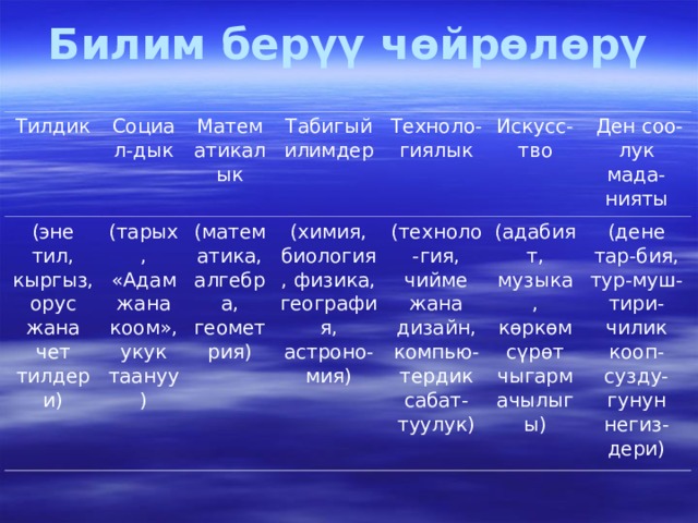 Билим берүү чөйрөлөрү   Тилдик Социал-дык (эне тил, кыргыз, орус жана чет тилдери) Математикалык (тарых, «Адам жана коом», укук таануу) Табигый илимдер (математика, алгебра, геометрия) Техноло-гиялык (химия, биология, физика, география, астроно-мия) Искусс-тво (техноло-гия, чийме жана дизайн, компью-тердик сабат-туулук)   Ден соо-лук мада-нияты (адабият, музыка, көркөм сүрөт чыгармачылыгы) (дене тар-бия, тур-муш-тири-чилик кооп-сузду-гунун негиз-дери) 