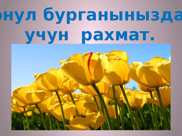 Конул бурганыныздар учун рахмат.    . 