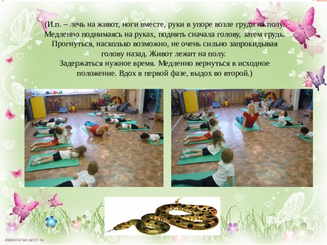 (И.п. – лечь на живот, ноги вместе, руки в упоре возле груди на полу. Медленно поднимаясь на руках, поднять сначала голову, затем грудь. Прогнуться, насколько возможно, не очень сильно запрокидывая голову назад. Живот лежит на полу. Задержаться нужное время. Медленно вернуться в исходное положение. Вдох в первой фазе, выдох во второй.) 