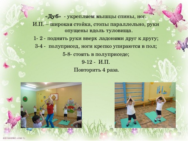 «Дуб»   - укрепляем мышцы спины, ног. И.П. – широкая стойка, стопы параллельно, руки опущены вдоль туловища. 1- 2 - поднять руки вверх ладонями друг к другу; 3-4 -  полуприсед, ноги крепко упираются в пол; 5-8- стоять в полуприседе; 9-12 -  И.П.   Повторить 4 раза.   