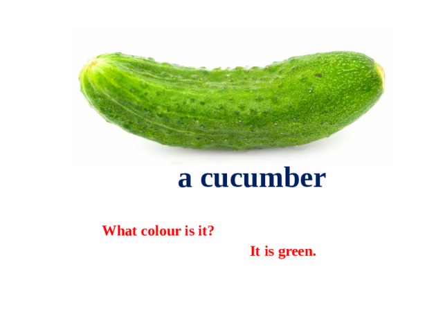  a cucumber What colour is it?  It is green. 
