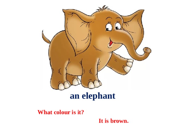  an elephant What colour is it?  It is brown. 