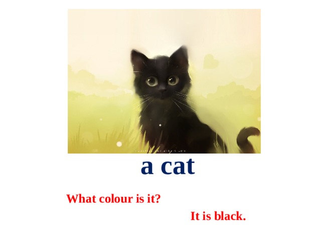  a cat What colour is it?  It is black. 