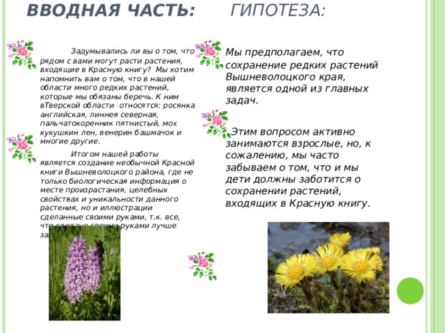 ВВОДНАЯ ЧАСТЬ:  ГИПОТЕЗА:     Мы предполагаем, что сохранение редких растений Вышневолоцкого края, является одной из главных задач.   Этим вопросом активно занимаются взрослые, но, к сожалению, мы часто забываем о том, что и мы дети должны заботится о сохранении растений, входящих в Красную книгу.    Задумывались ли вы о том, что рядом с вами могут расти растения, входящие в Красную книгу? Мы хотим напомнить вам о том, что в нашей области много редких растений, которые мы обязаны беречь. К ним вТверской области относятся: росянка английская, линнея северная, пальчатокоренник пятнистый, мо х кукушкин лен, венерин башмачок и многие другие.   Итогом нашей работы является создание необычной Красной книги Вышневолоцкого района, где не только биологическая информация о месте произрастания, целебных свойствах и уникальности данного растения, но и иллюстрации сделанные своими руками, т.к. все, что сделано своими руками лучше запоминается. 