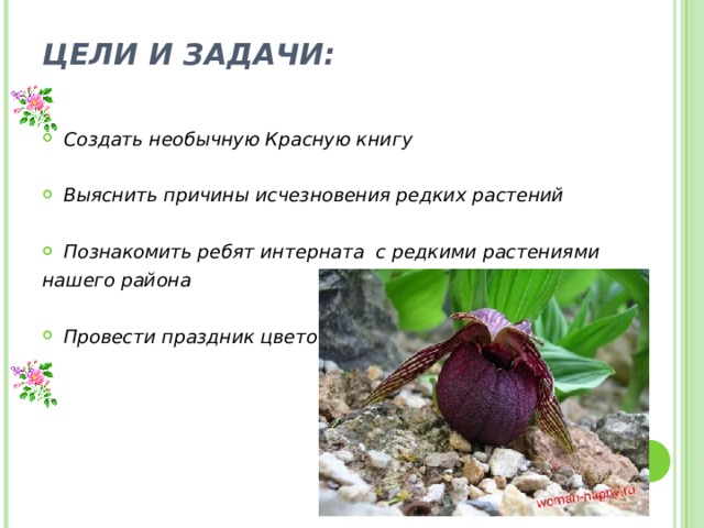 ЦЕЛИ И ЗАДАЧИ:   Создать необычную Красную книгу  Выяснить причины исчезновения редких растений   Познакомить ребят интерната с редкими растениями нашего района  Провести праздник цветов  