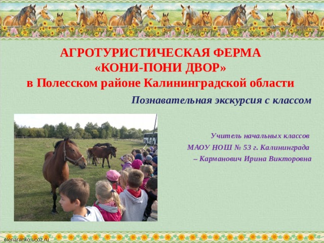 АГРОТУРИСТИЧЕСКАЯ ФЕРМА  «КОНИ-ПОНИ ДВОР»  в Полесском районе Калининградской области Познавательная экскурсия с классом    Учитель начальных классов МАОУ НОШ № 53 г. Калининграда – Карманович Ирина Викторовна 