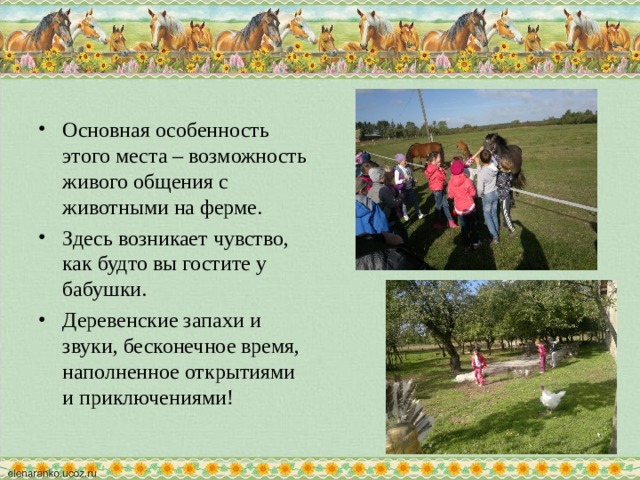 Основная особенность этого места – возможность живого общения с животными на ферме. Здесь возникает чувство, как будто вы гостите у бабушки. Деревенские запахи и звуки, бесконечное время, наполненное открытиями и приключениями!  