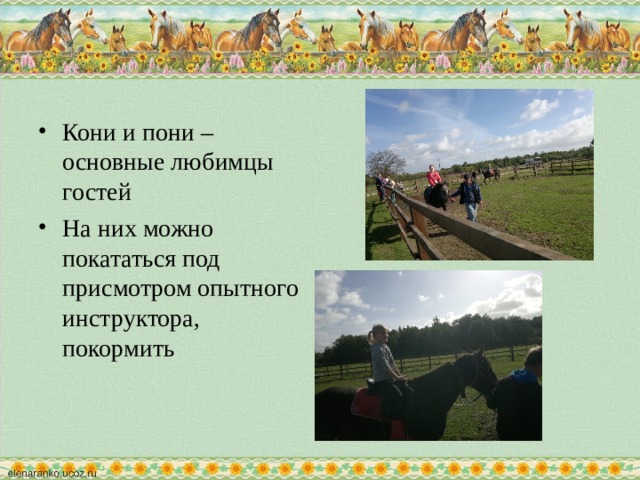 Кони и пони – основные любимцы гостей На них можно покататься под присмотром опытного инструктора, покормить 