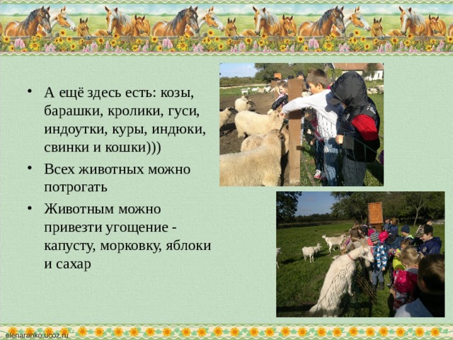 А ещё здесь есть: козы, барашки, кролики, гуси, индоутки, куры, индюки, свинки и кошки))) Всех животных можно потрогать Животным можно привезти угощение - капусту, морковку, яблоки и сахар   