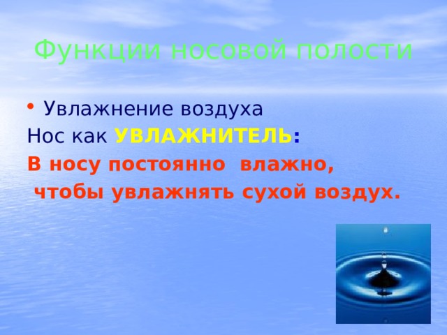 Функции носовой полости Увлажнение воздуха Нос как  УВЛАЖНИТЕЛЬ : В носу постоянно влажно,  чтобы увлажнять сухой воздух. 