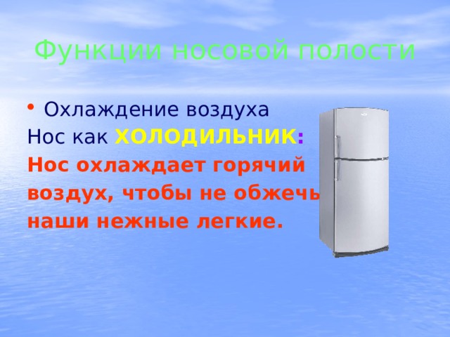 Функции носовой полости Охлаждение воздуха Нос как  ХОЛОДИЛЬНИК : Нос охлаждает горячий воздух, чтобы не обжечь наши нежные легкие.  
