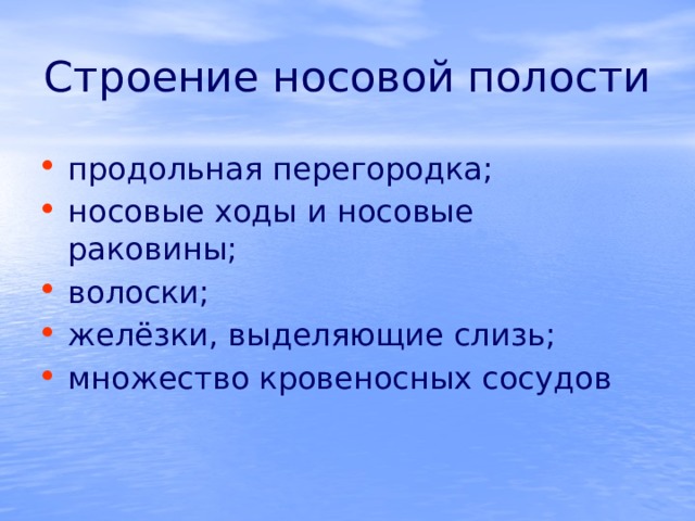 Строение носовой полости продольная перегородка; носовые ходы и носовые раковины; волоски; желёзки, выделяющие слизь; множество кровеносных сосудов 