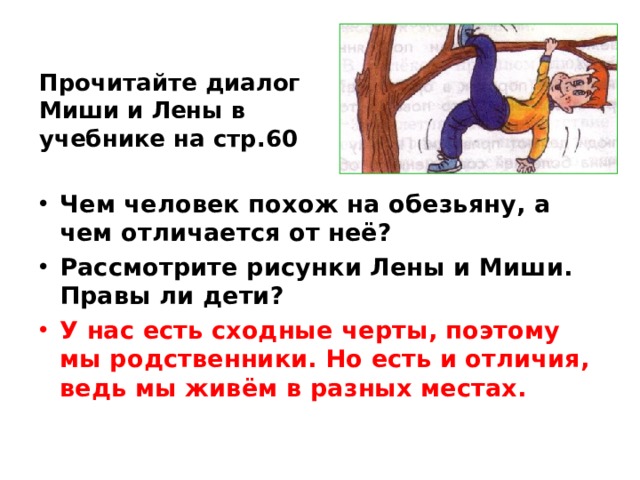 Прочитайте диалог Миши и Лены в учебнике на стр.60 Чем человек похож на обезьяну, а чем отличается от неё? Рассмотрите рисунки Лены и Миши. Правы ли дети? У нас есть сходные черты, поэтому мы родственники. Но есть и отличия, ведь мы живём в разных местах. 