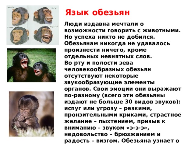 Язык обезьян Люди издавна мечтали о возможности говорить с животными. Но успеха никто не добился. Обезьянам никогда не удавалось произнести ничего, кроме отдельных невнятных слов.  Во рту и полости зева человекообразных обезьян отсутствуют некоторые звукообразующие элементы органов. Свои эмоции они выражают по-разному (всего эти обезьяны издают не больше 30 видов звуков): испуг или угрозу – резкими, пронзительными криками, страстное желание – пыхтением, призыв к вниманию – звуком «э-э-э», недовольство – брюзжанием и радость – визгом. Обезьяна узнает о настроении другого животного и перенимает его навыки, наблюдая за ним. Мимика, жесты, осанка – вот средства, с помощью которых человекообразные обезьяны передают друг другу существенную информацию. 