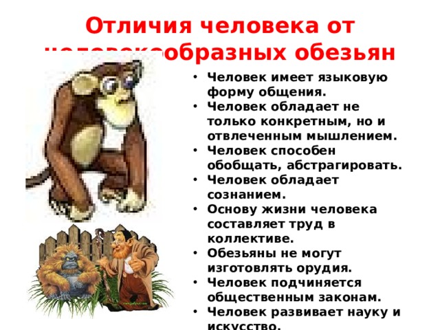 Отличия человека от человекообразных обезьян Человек имеет языковую форму общения. Человек обладает не только конкретным, но и отвлеченным мышлением. Человек способен обобщать, абстрагировать. Человек обладает сознанием. Основу жизни человека составляет труд в коллективе. Обезьяны не могут изготовлять орудия. Человек подчиняется общественным законам. Человек развивает науку и искусство. 