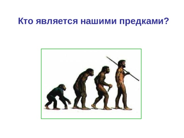 Кто является нашими предками? 