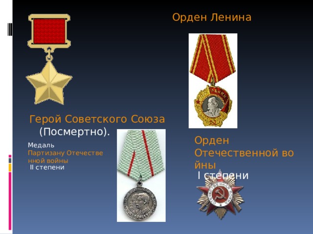 Орден Ленина Герой Советского Союза  (Посмертно). Медаль Партизану Отечественной войны II степени Орден Отечественной войны I степени 